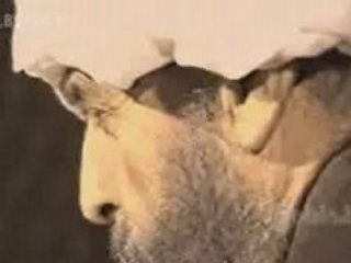 Rumi: Life & Works of the Persian Poet 🌟