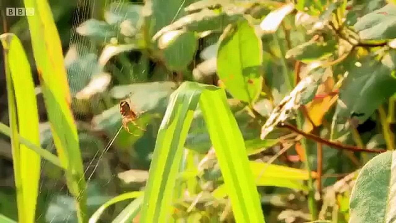 The Great Interior Design Challenge - Se1 - Ep07 HD Watch