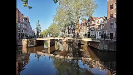 MOST POPULAR AMSTERDAM MARKET | Went to the market | Albert Cuyp Market