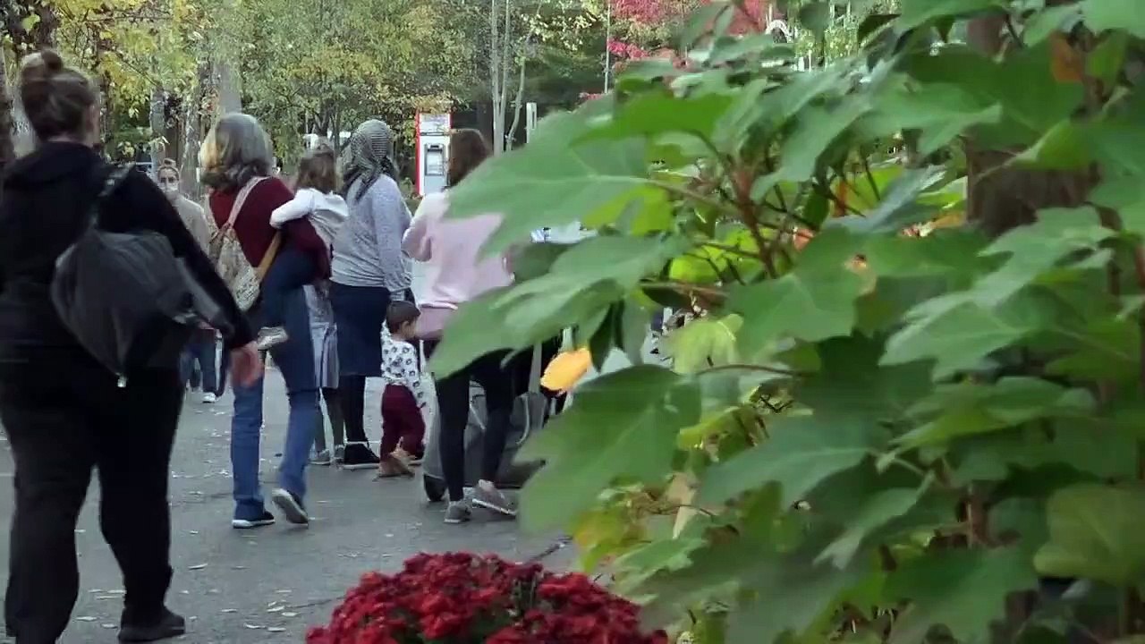 The Zoo - Se5 - Ep11 - Bronx Blizzard HD Watch