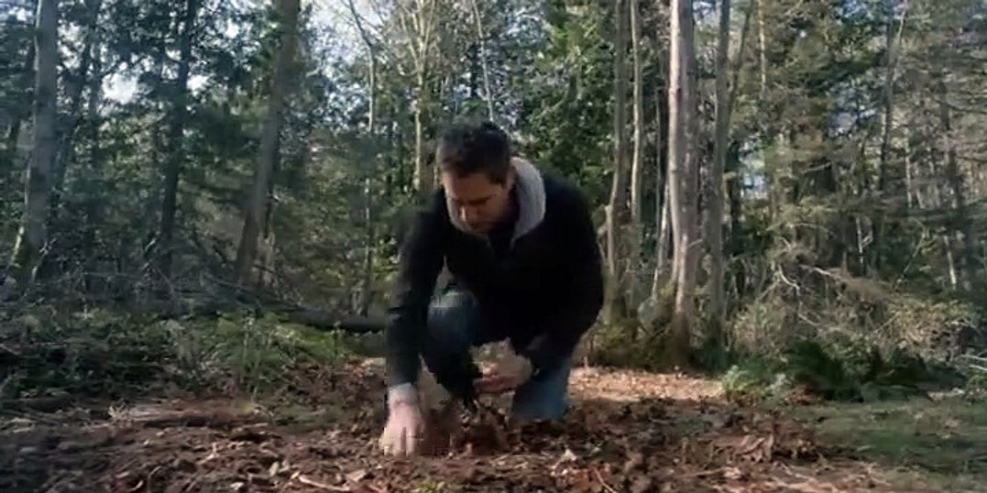 Travelers - Se3 - Ep03 HD Watch