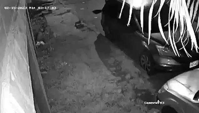 Cámaras captan a ladrón de partes de vehículo en SPS