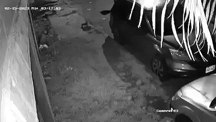 Cámaras captan a ladrón de partes de vehículo en SPS