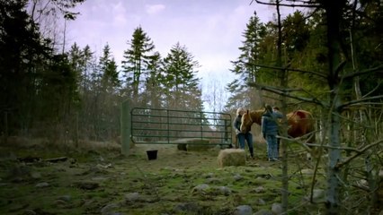 Trr in the Woods - Se2 - Ep03 HD Watch