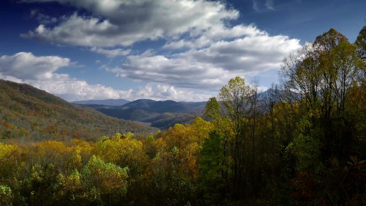 Trr in the Woods - Se2 - Ep06 - Was It Hunting Us and It was Something Evil HD Watch