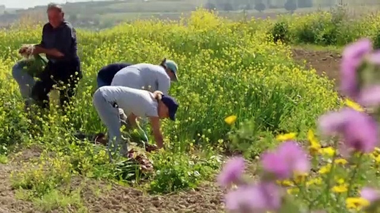 The Hairy Bikers' Mediterranean Adventure - Se1 - Ep01 HD Watch