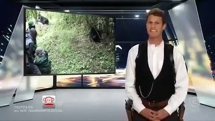 Tosh.0 - Se6 - Ep08 - Never Take Your Girlfriend to the Ballgame HD Watch