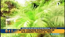 Alejandro Toledo: EE.UU concede extradición del expresidente por delito de lavado de activos