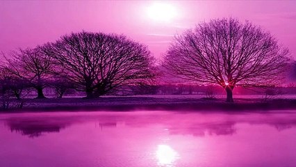 River Evening A Relaxing Nature Video for Stress Relief"