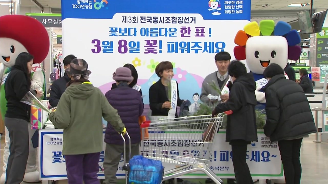 충북 농협, 농산물 활용 조합장 동시 선거 캠페인 / YTN