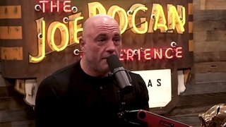 Rogan & Peterson- -She Is in BIG Trouble!-