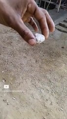 पत्थर वापस केसे आ रहा है   #viral #video #trending #shorts #youtubeshorts #shortsfeed