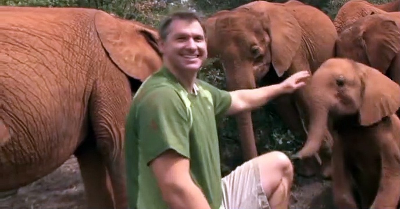 Wild Kratts Wild Kratts S02 E003 – Creature Power Challenge - video