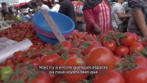 Souveraineté alimentaire : Le plan du Département