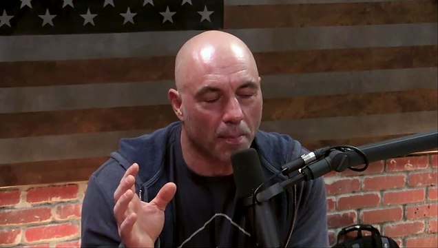 Joe Rogan & Jordan Peterson- TRANS Woman Fighting Against MEN in UFC -It's RIDICULOUS!-
