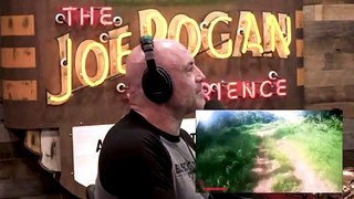 Joe Rogan- The Ugly TRUTH about HUMANOIDS