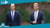 Harry, un meilleur roi que William ? Ces confidences de Diana qui intriguent