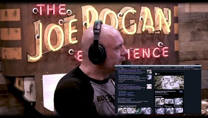 Joe Rogan- 100 FT Long ANACONDA Attacks Helicopter in The Amazon Rainforest - Forrest Galante