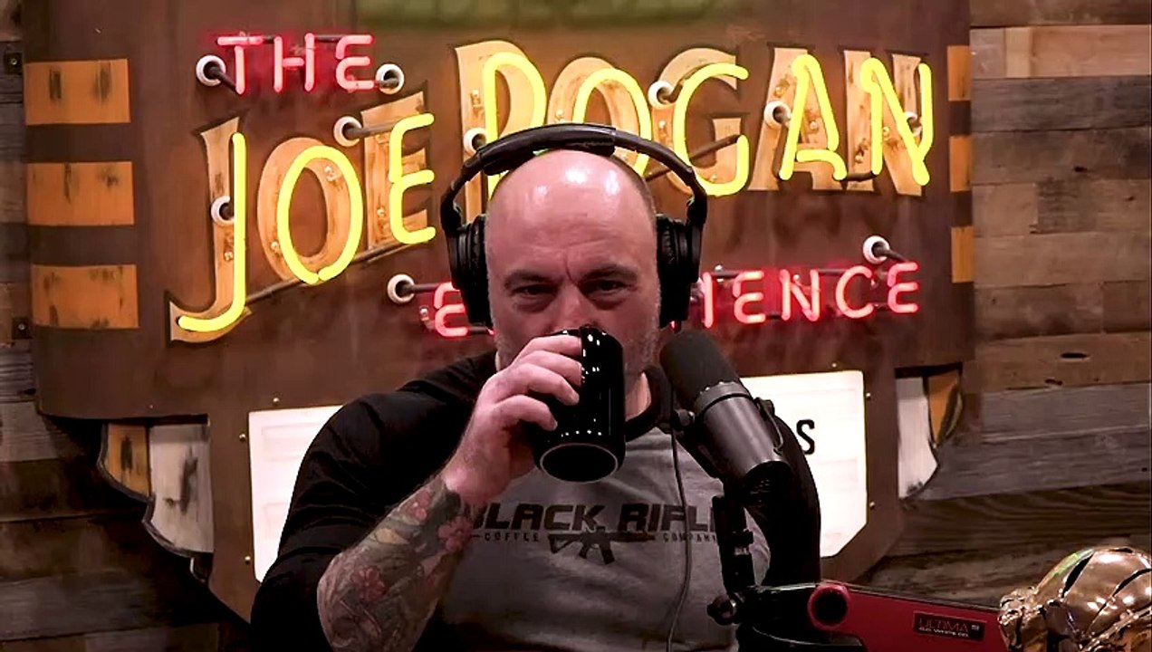 Joe Rogan_ WASP Stings Archaeologist's MANHOOD