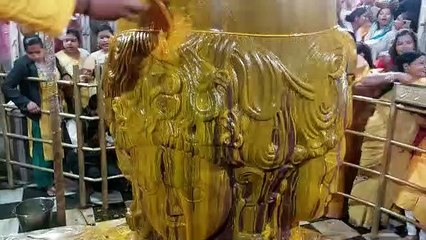 भक्तों ने बाबा को लगाई आस्था की हल्दी-मेहंदी कल दुल्हा बनेंगे पशुपतिनाथ