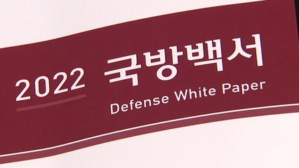 [더뉴스] 6년 만에 다시 등장한 '주적' 개념...2022 국방백서에 담긴 내용은? / YTN