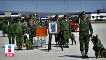 Restos de Proteo llegan a México; le rinden homenaje