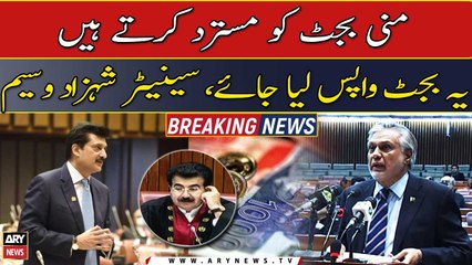 We reject this mini budget, this should be withdrawn, Senator Shahzad Waseem