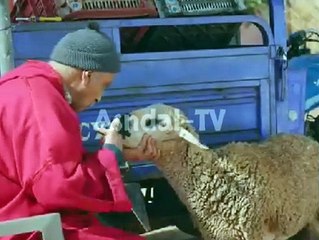 Mc Kebbor and fatiha money for Aid