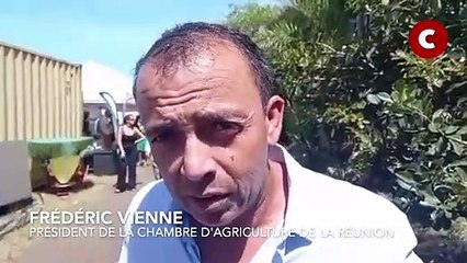 Carenco en visite à La Réunion : réaction de Frédéric Vienne