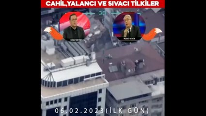 Cahil, yalancı ve sıvacı tilkiler...