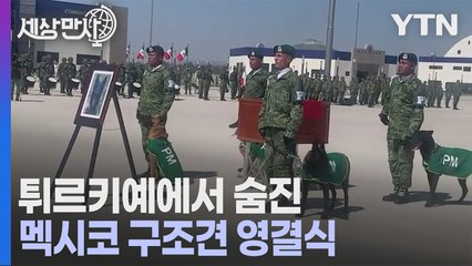 [세상만사] 지진 구조 활동 도중 숨진 멕시코 군견 영결식 / YTN