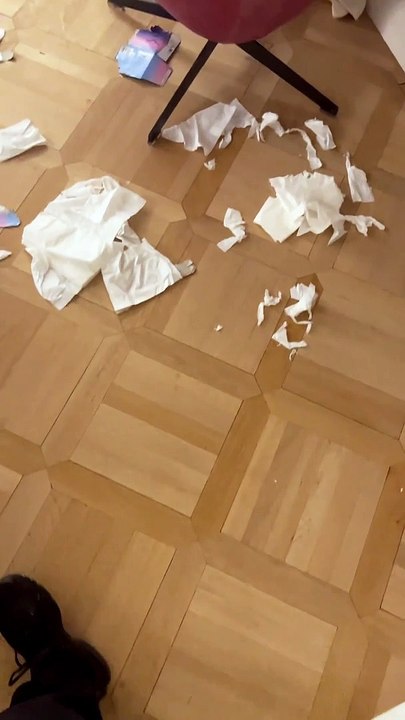 Le jeune Tigane a même tout l'air d'être le pro des bêtises comme en témoigne la story d'Hugo Manos dévoilant le carnage qu'il a réalisé dans le salon.