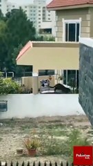 A LEOPARD ATTACKS  A PERSON BEFORE ENTERING A HOUSE UNDER CONSTRUCTION IN FEZTO