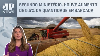 Kellen Severo: Milho puxa resultado recorde das exportações em janeiro