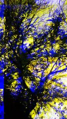 Día gris y de lluvia - Tacuarembó, Uruguay (14/02/2023)