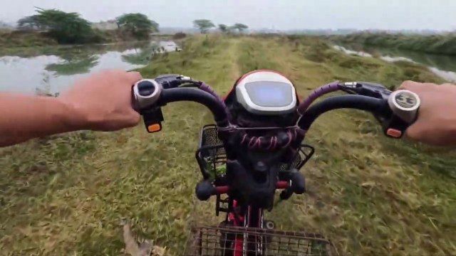 Chasse à la souris - Mouse hunter #4