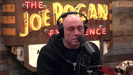 Joe Rogan- BATS Are The Number ONE Pollinator- How Do They Do It-