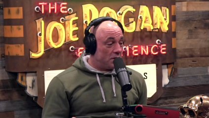 Joe Rogan- FAKE Martial Artists- WHAT is NINJITSU--