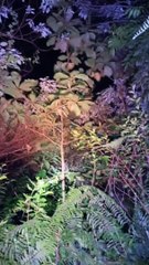 Paranormal activity ghost on camera part 91