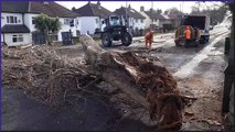 Footage shows fallen tree blocking road in Armley as 50mph wind hits Leeds
