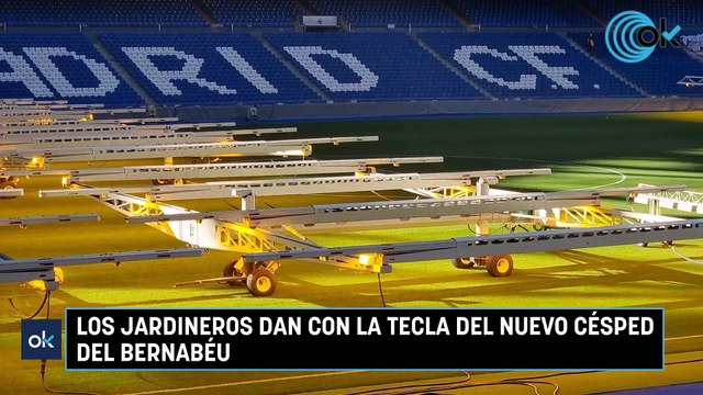 Los jardineros dan con la tecla del nuevo césped del Bernabéu