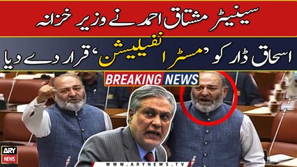 Senator Mushtaq Ahmad termed Finance Minister Ishaq Dar as 'Mr. Inflation'