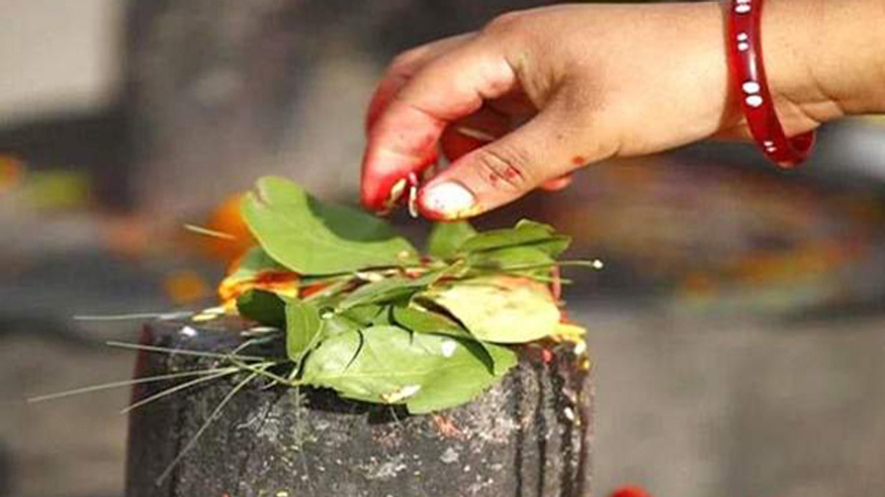Mahashivratri 2023: महाशिवरात्रि के दिन शिवलिंग पर कितने बेलपत्र चढ़ाना चाहिए | Boldsky