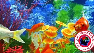 ABI RESOURCES FISH TANK ABI Waiver Program, MFP Program, Life Skills Training ILST, Brain Injury Awareness, Care Management, Connecticut Community Care, Home Modifications, Neuro Knowledge, Compassion/Advocates, Cognitive Behavioral Therapy (CBT), Medicai