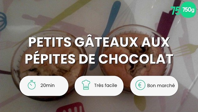 Petits gâteaux aux pépites de chocolat
