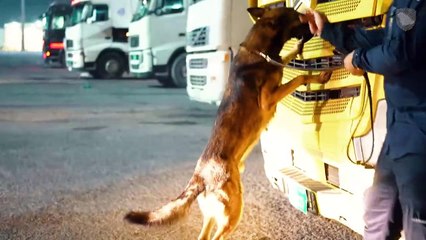 إحباط محاولتي تهريب أكثر من 27 كجم من الشبو و17 ألف حبة محظورة‎