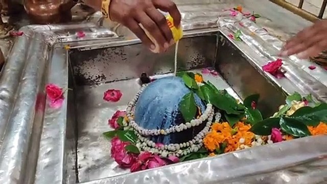 शिवमय होगा कल शहर, शनि प्रदोष का भी रहेगा संयोग, पढ़ें शहर के सबसे पुराने ​शिवालयों के बारे में