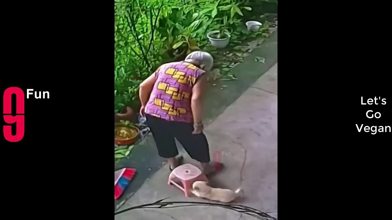 TRY NOT TO LAUGH  Best Funny Videos Compilation