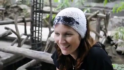 Funny bird reproduces human sounds   Смешная птица повторяет звуки