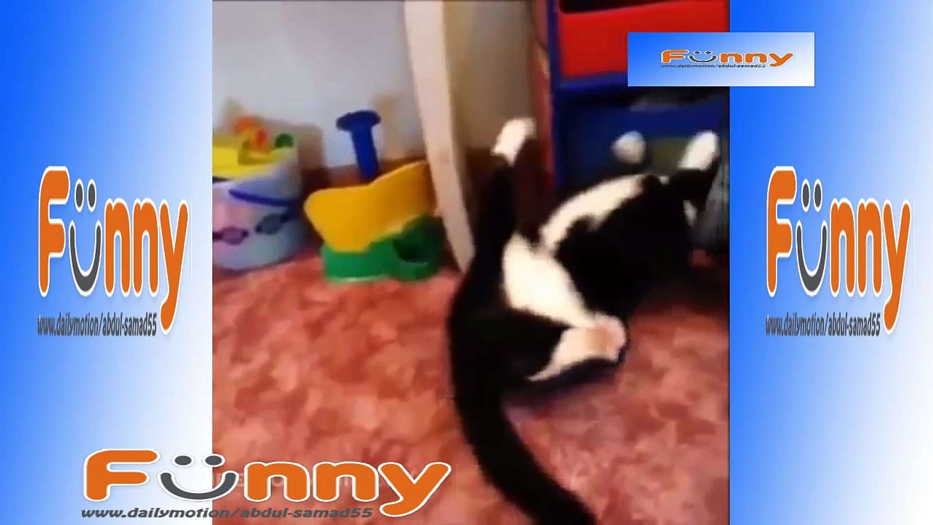 Funny Pets _ Animals Vines